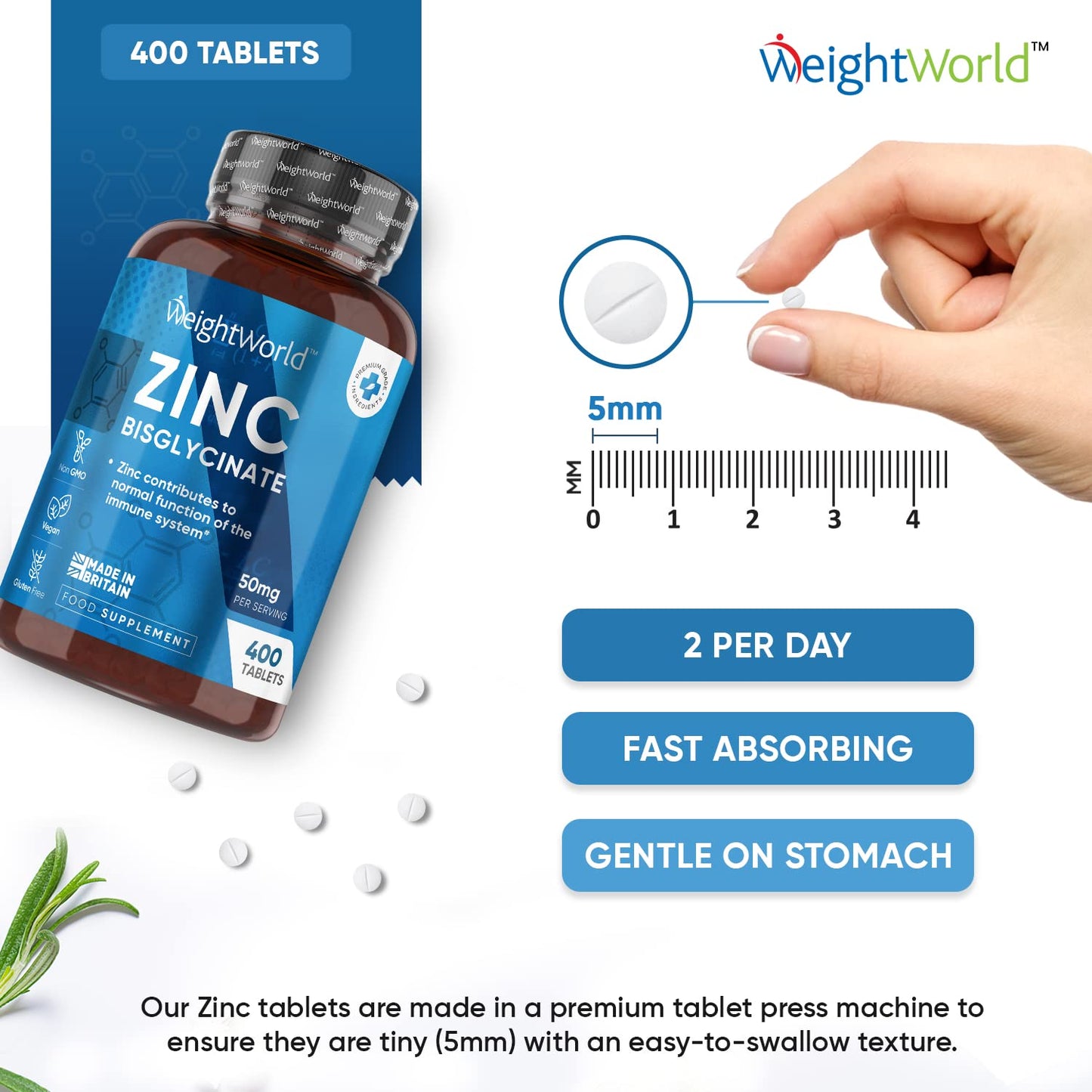 High Strength Zinc Tablets 50mg – 400 Vegan Zinc Bisglycinate Tablets 6+ Months - Maple Wellness Supplements