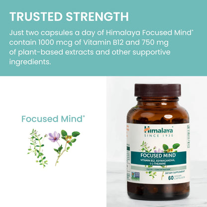 Himalaya Focused Mind Supplement, with Ashwagandha, Bacopa & L-Theanine for Attention, Focus and Energy Support, 60 Vegan Capsules, Gluten Free, 1 Month Supply - Maple Wellness Supplements