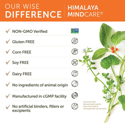 Himalaya MindCare, Nootropic Brain Supplement Booster for Mental Sharpness, Focus, Memory, and Cognitive Wellness, 1170 mg, 120 Capsules, 1 Month Supply - Maple Wellness Supplements