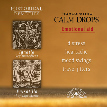 Historical Remedies Calm Drops Homeopathic Lozenges (1 Pack)| Natural Care for Emotional Stress Relief, Vegan & Gluten-Free Organic Vanilla Flavor Drops to Promote Relaxation and a Sense of Calm - Maple Wellness Supplements