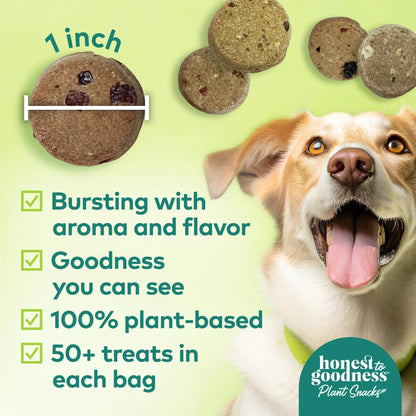 Honest to Goodness Plant Snacks Dog Treats, Enriched with Omega 3s & Postbiotics, 8oz Variety Pack, 6 Bags - Maple Wellness Supplements
