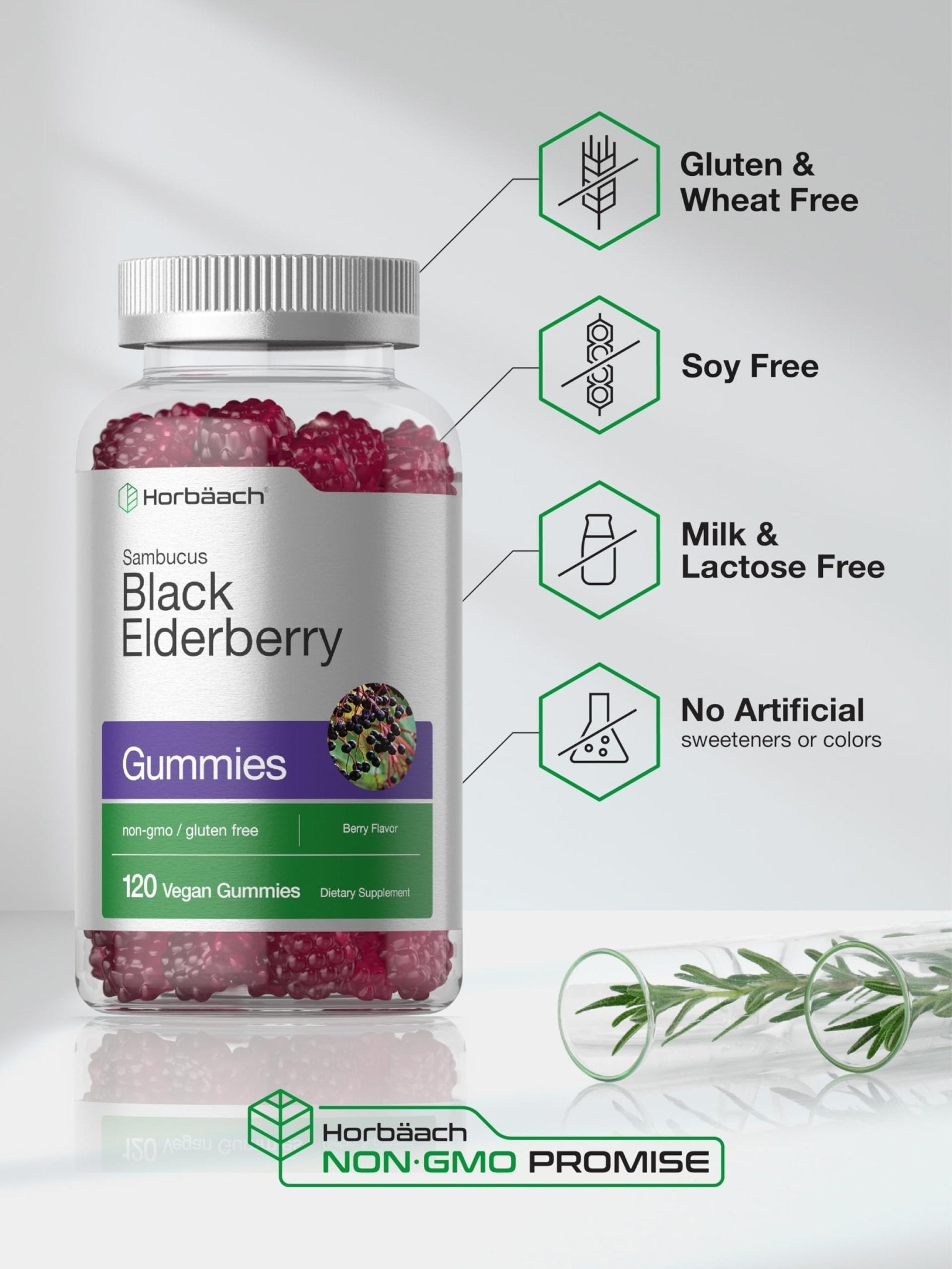 Horbaach Black Elderberry Gummies | 120 Count | Sambucus Extract | with Zinc and Vitamin C | Berry Flavor | Vegan, Non-GMO - Maple Wellness Supplements