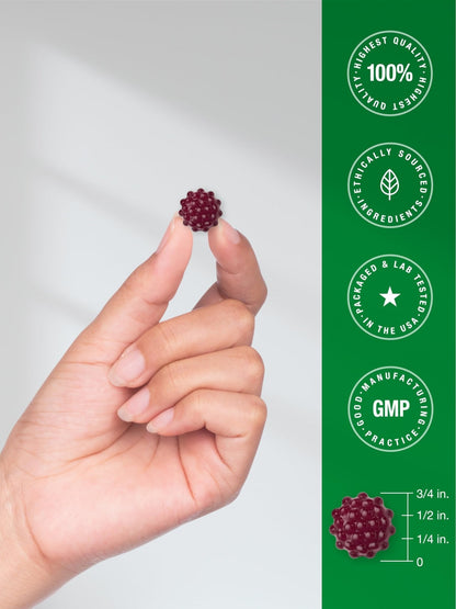 Horbaach Black Elderberry Gummies | 120 Count | Sambucus Extract | with Zinc and Vitamin C | Berry Flavor | Vegan, Non-GMO - Maple Wellness Supplements