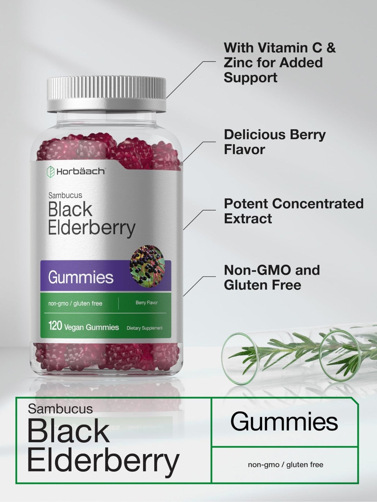 Horbaach Black Elderberry Gummies | 120 Count | Sambucus Extract | with Zinc and Vitamin C | Berry Flavor | Vegan, Non-GMO - Maple Wellness Supplements