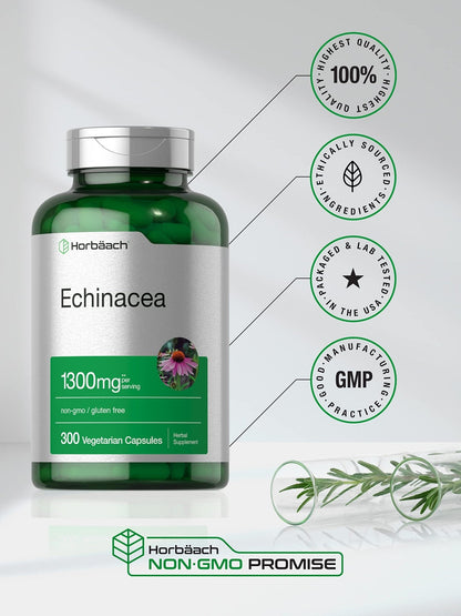 Horbäach Echinacea Extract Capsules | 300 Count | Vegan, Non-GMO, Gluten Free Supplement - Maple Wellness Supplements