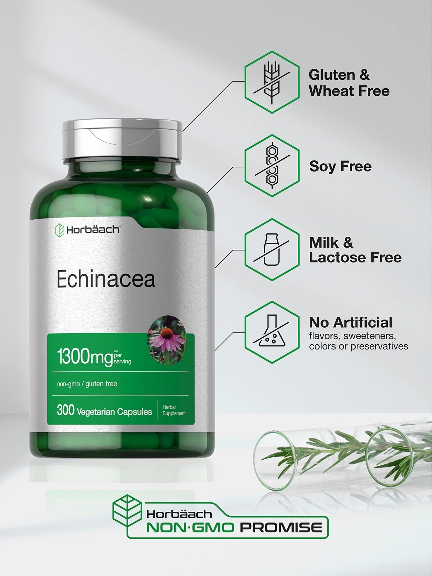 Horbäach Echinacea Extract Capsules | 300 Count | Vegan, Non-GMO, Gluten Free Supplement - Maple Wellness Supplements