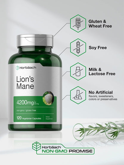 Horbäach Lions Mane Mushroom Extract | 120 Capsules | Vegetarian, Non-GMO, Gluten Free Supplement - Maple Wellness Supplements