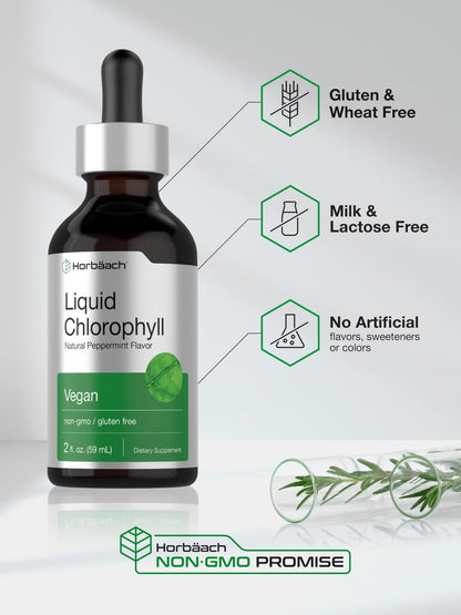 Horbäach Liquid Chlorophyll Drops | 2 oz | Vegan, Non-GMO, and Gluten Free Formula | Natural Peppermint Flavor - Maple Wellness Supplements