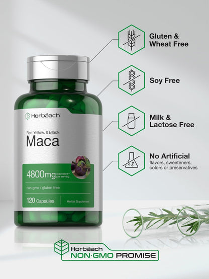 Horbäach Maca Root Capsules for Men and Women | 120 Pills | High Potency Extract | Non-GMO and Gluten Free Formula - Maple Wellness Supplements