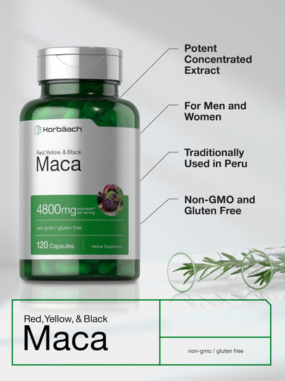 Horbäach Maca Root Capsules for Men and Women | 120 Pills | High Potency Extract | Non-GMO and Gluten Free Formula - Maple Wellness Supplements