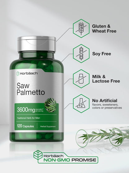 Horbäach Saw Palmetto Extract | 120 Capsules | Non-GMO and Gluten Free Formula | from Saw Palmetto Berries - Maple Wellness Supplements