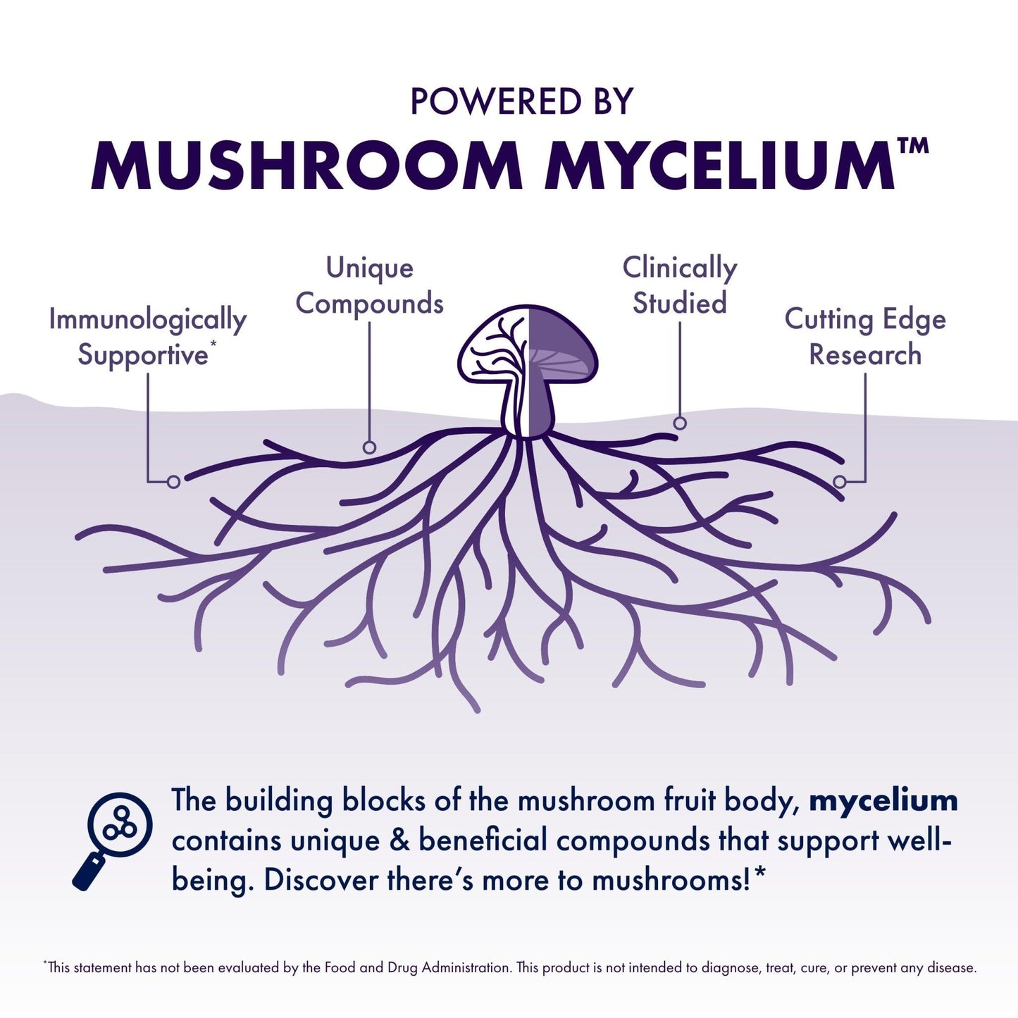 Host Defense Mushrooms Lion's Mane - Supplement Capsules for Brain Health Support - Mushroom Support for Focus & Memory Function - Maple Wellness Supplements