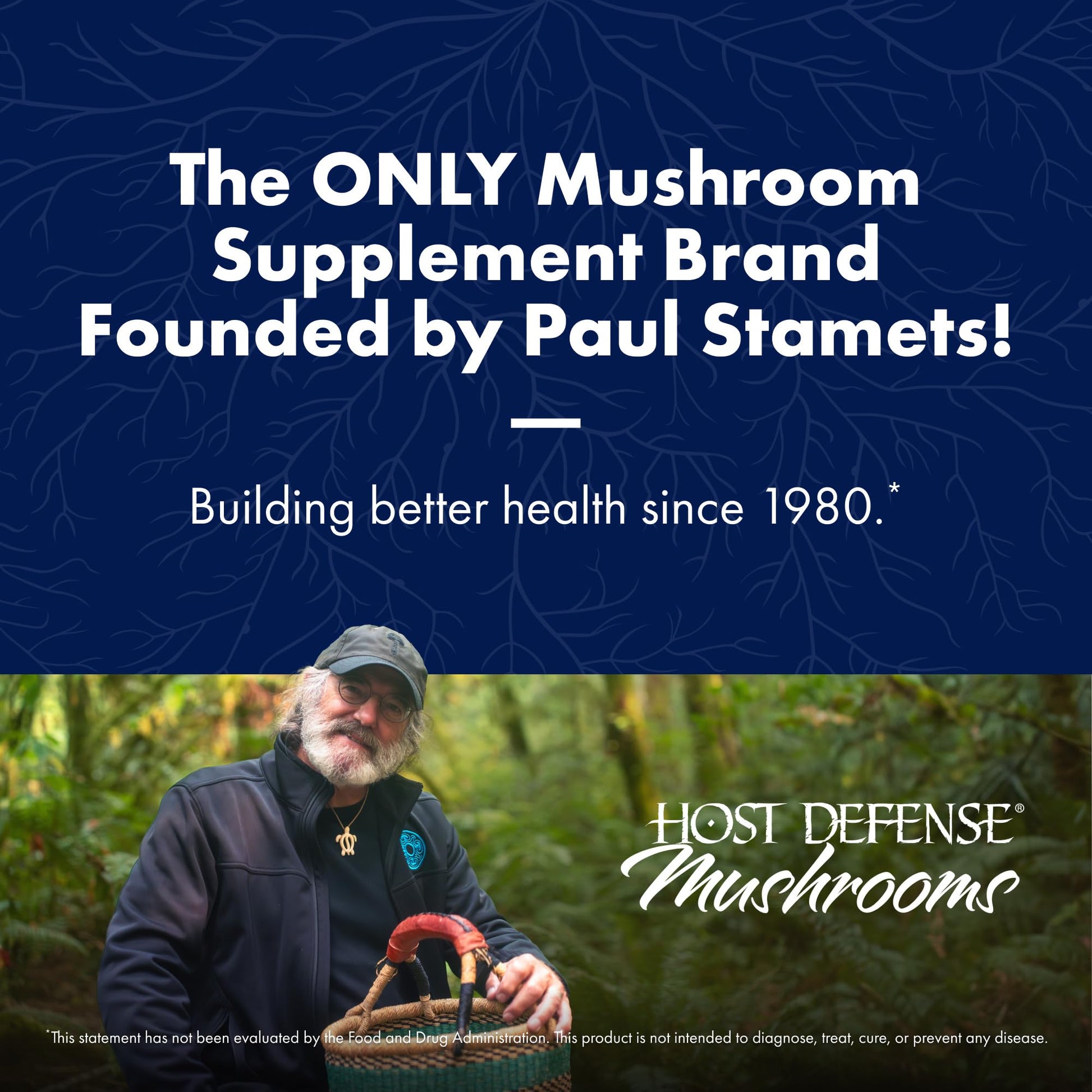Host Defense Mushrooms Lion's Mane - Supplement Capsules for Brain Health Support - Mushroom Support for Focus & Memory Function - Maple Wellness Supplements