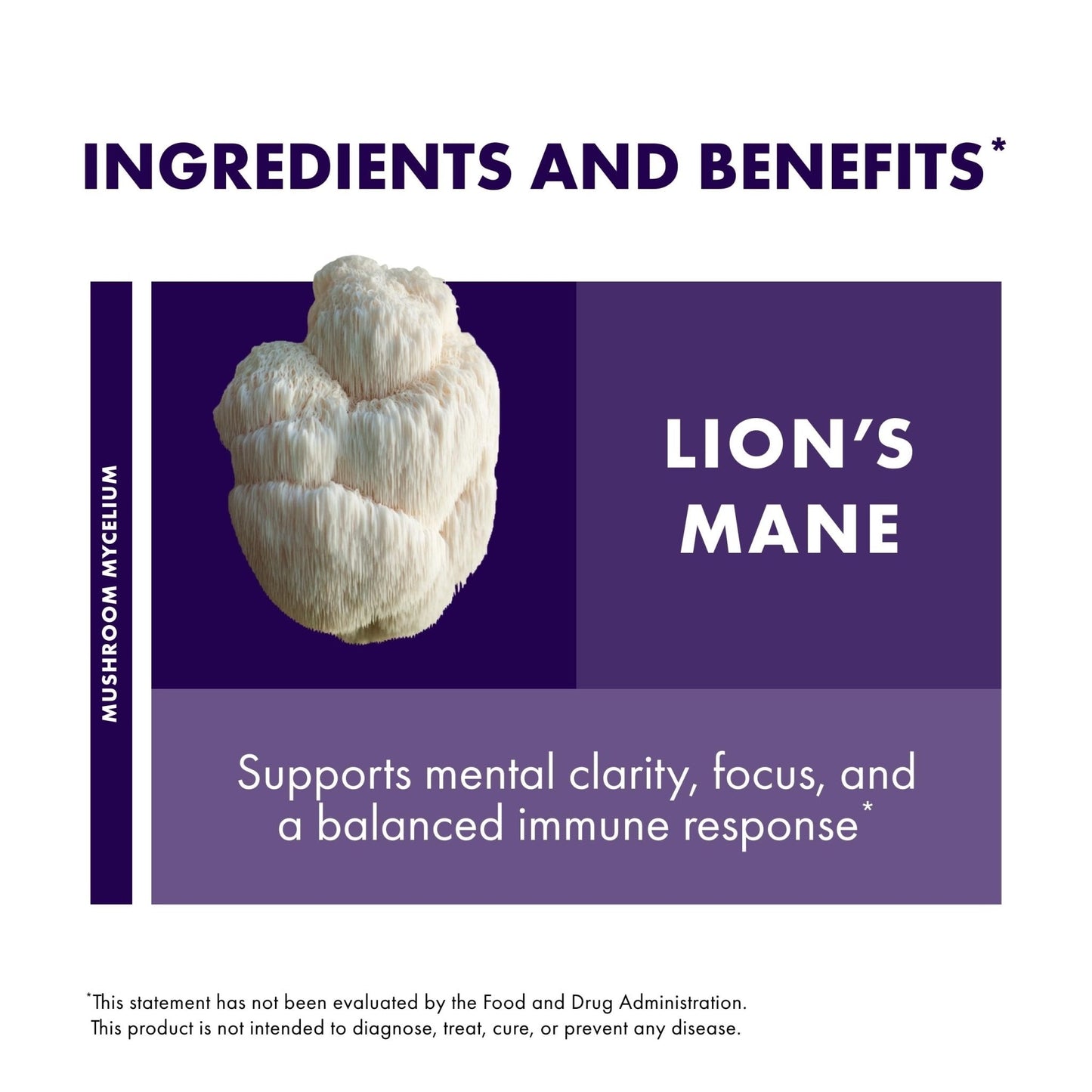 Host Defense Mushrooms Lion's Mane - Supplement Capsules for Brain Health Support - Mushroom Support for Focus & Memory Function - Maple Wellness Supplements