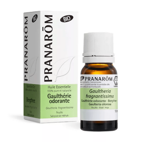 Huile essentielle Gaultherie odorante BIO 10 ml PRANAROM - Maple Wellness Supplements