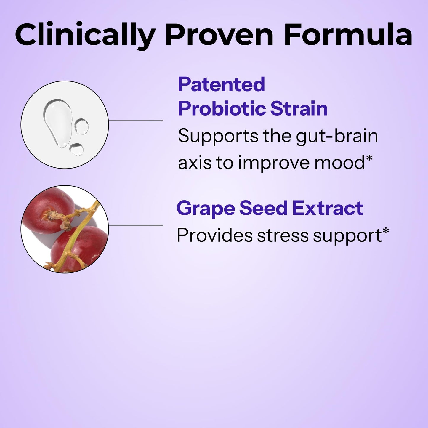 HUM Fan Club Menopause Probiotic Supplement, Estrogen Free Menopause Supplements for Women, Non Hormonal, Supports Energy & Hot Flashes, Grape Seed Extract & Siberian Rhubarb, 30 Vegan Capsules - Maple Wellness Supplements