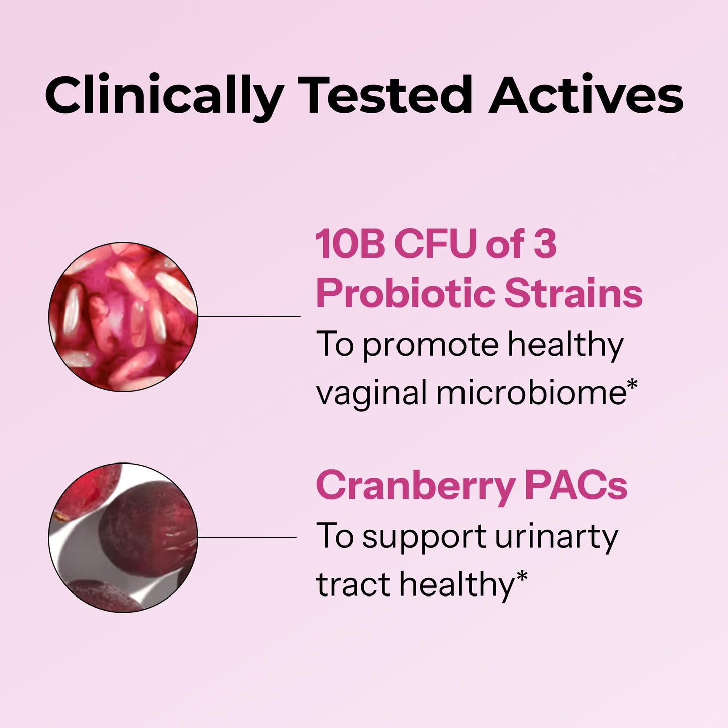 HUM Private Party Vaginal Probiotics for Women, pH Balance and Urinary Tract Support Vaginal Probiotic Supplement with Cranberry & Lactobacillus Blend, Women's Health Cranberry Pills, 30 Capsules - Maple Wellness Supplements