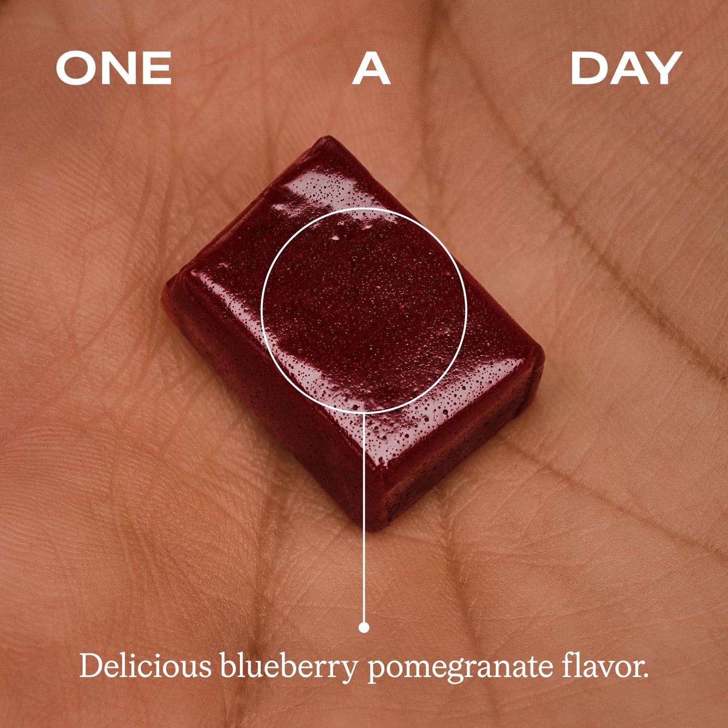 Humann Memory and Focus Chews, Brain Supplement for Mental Alertness with Beet Root Powder, Clinically Studied Nootropics, Resveratrol Plus Beet Root Powder - Maple Wellness Supplements