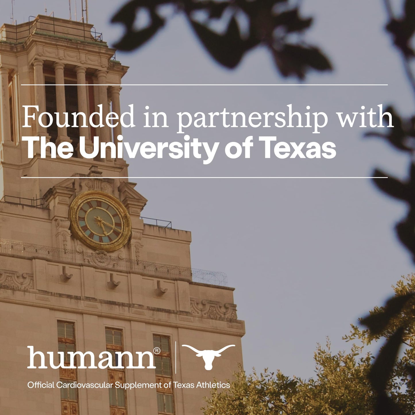 Humann SuperBeets Heart Chews Zero Sugar, Beet Root Supplement, Energy, Nitric Oxide and Blood Pressure Support, Grape Seed Extract & Non-GMO - Maple Wellness Supplements