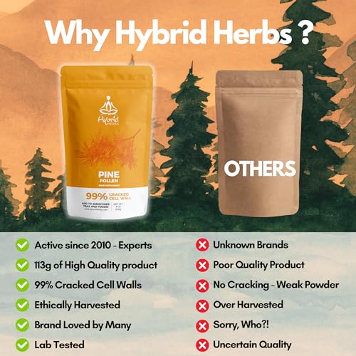 HYBRID HERBS - PINE POLLEN | 99% Cracked Cell Wall Powder | Highly Bioavailable - Maple Wellness Supplements