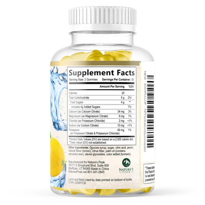 Hydration Electrolyte Gummies - Daily Liquid Replenisher Gummy - Electrolyte Multiplier with Minerals, Potassium & Real Salt - Vegan, Non-GMO - Tasty Lemon Flavor Hydration Electrolytes - 60 Gummies - Maple Wellness Supplements