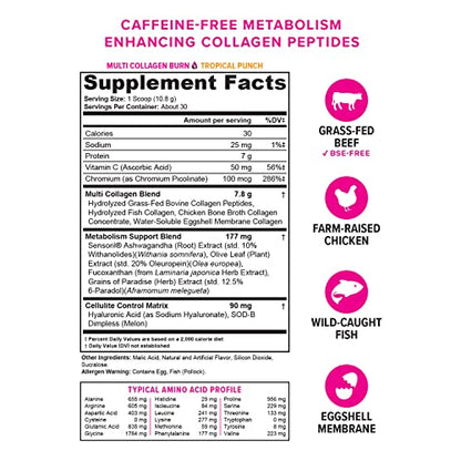 Hydrolyzed Collagen Peptides Powder for Women - Slimming Multi Collagen Burn Ultimate - Maple Wellness Supplements
