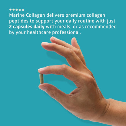 Hydrolyzed Marine Collagen with Hyaluronic Acid, Vitamin C, Theaflavin and Copper, Collagen Supplement for Women and Men for Radiant Skin, Hair & Nails, - Maple Wellness Supplements
