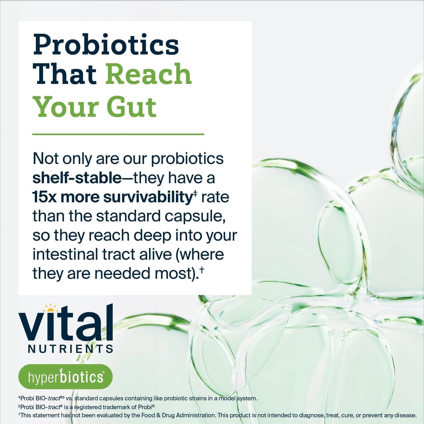 Hyperbiotics Vital Nutrients Pro-15 Advanced Probiotics for Women and Men | 15 Strains + Kiwifruit | Clinically Studied Daily Probiotics for Digestive Health, Gas, & Bloating | 30 Vegan Tablets - Maple Wellness Supplements