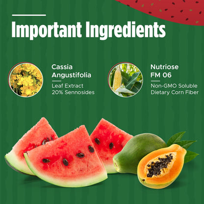 Iaso Instant Tea Watermelon Flavor - 4 grams (25 Sachets) - Maple Wellness Supplements