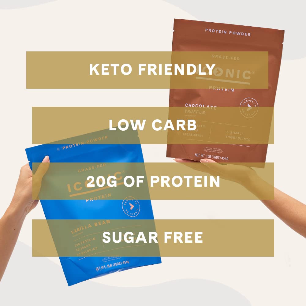 ICONIC Protein Powder, Chocolate Truffle - Sugar Free, Low Carb Protein Powder - Lactose Free, Gluten Free, Non-GMO - 20g Grass Fed Whey & Casein Protein - Maple Wellness Supplements