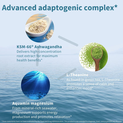 Igennus High Strength Ashwagandha, Magnesium, & L-Theanine Stress Relief Complex, KSM-66 Root Extract Adaptogens, Boosted with Methylfolate, Zinc & Biotin Clean Label, 60 Fast Acting Capsules - Maple Wellness Supplements