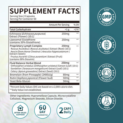 iMATCHME Lymphatic Drainage Supplements for Lymph System Support, Detox & Cleanse, Liver Health,Fluid Balance, Immune Support, Natural Herbal Blends with Echinacea, Liposomal Glutathione, 60 Capsules - Maple Wellness Supplements