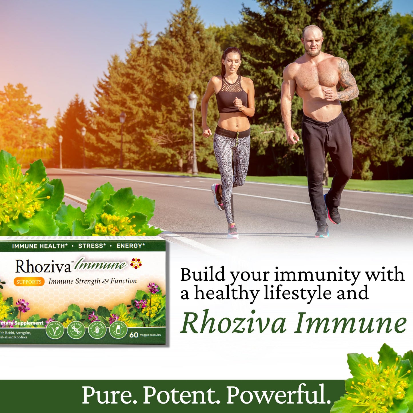 Immune Support, Energy Booster with Vitamin C, D3 and Zinc Supplement, Rhodiola Rosea, Reishi Mushroom Extract, Astragalus, Overall Wellness and Daily Habit - 60 Capsules - Maple Wellness Supplements