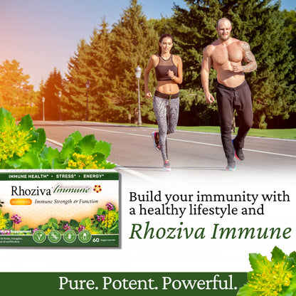Immune Support, Energy Booster with Vitamin C, D3 and Zinc Supplement, Rhodiola Rosea, Reishi Mushroom Extract, Astragalus, Overall Wellness and Daily Habit - 60 Capsules - Maple Wellness Supplements