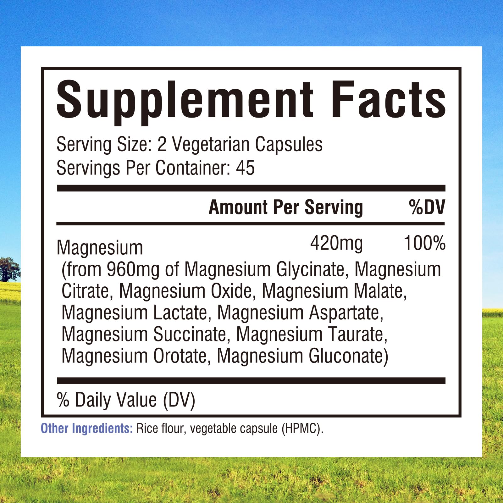 Innate Vitality 10-in-1 Magnesium Complex 960mg, 420mg Elemental Mag per Serving, with Magnesium Glycinate, Citrate, Malate, and More, Sleep, Digestion, Energy Support, 90 Vegan Caps - Maple Wellness Supplements