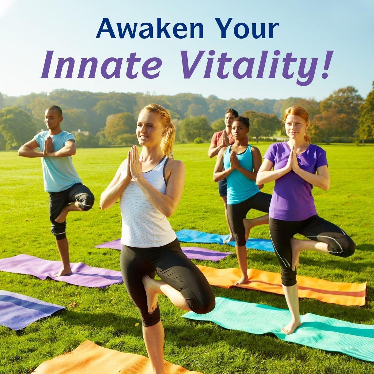 Innate Vitality 12-in-1 Magnesium Complex, 500 mg Elemental Mag, with Magnesium Glycinate Malate Taurate Aspartate & More, - Maple Wellness Supplements