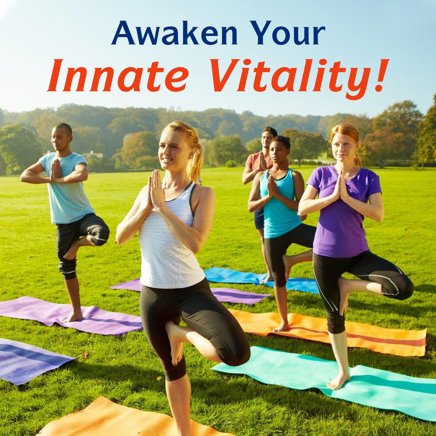 Innate Vitality Probiotics 120 Billion CFUs for Men & Women, 34 Strains with Prebiotics & Digestive Enzymes, Immune & Digestive Health - Maple Wellness Supplements