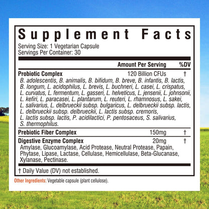 Innate Vitality Probiotics 120 Billion CFUs for Men & Women, 34 Strains with Prebiotics & Digestive Enzymes, Immune & Digestive Health - Maple Wellness Supplements
