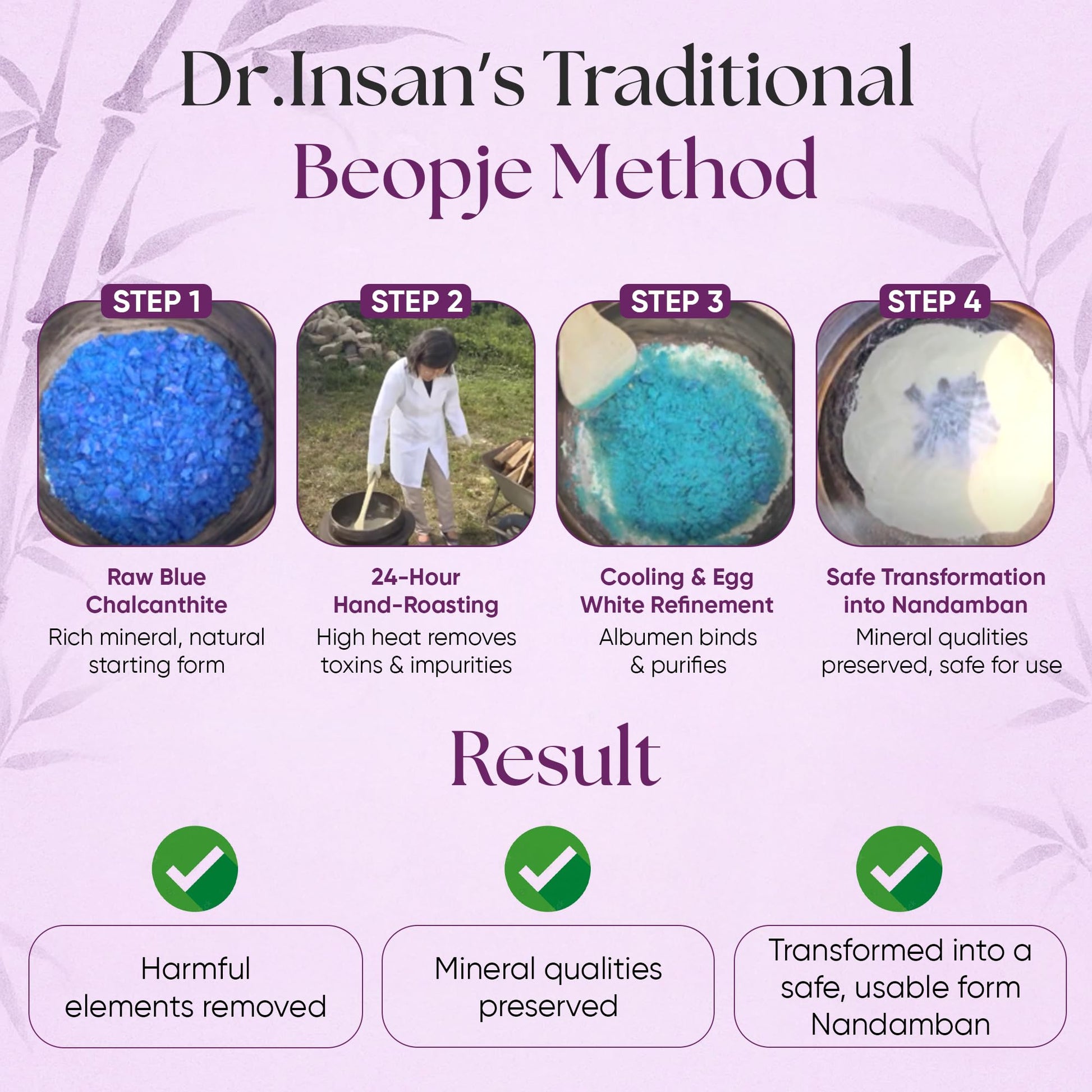 Insan Bamboo Salt Nandamban : Miracle Capsules – Starter Pack Daily Multivitamin & Mineral Supplement with Nandamban for Energy, Immune Support, Balance & Natural Detox – 30 Capsules - Maple Wellness Supplements