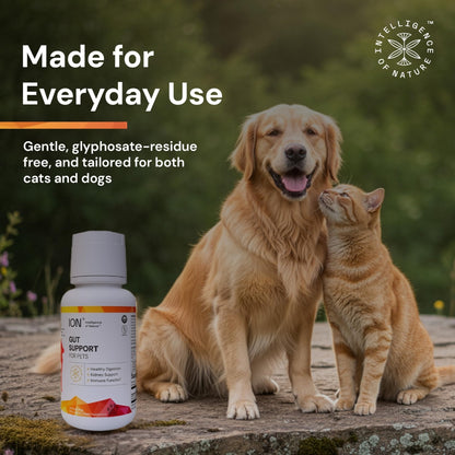 ION* Intelligence of Nature Gut Support For Pets - Liquid Probiotics Drops Alternative for Dogs & Cats, Digestive Health for Puppies, Skin & Hair Health - 16 fl oz (Pack of 1) - Maple Wellness Supplements