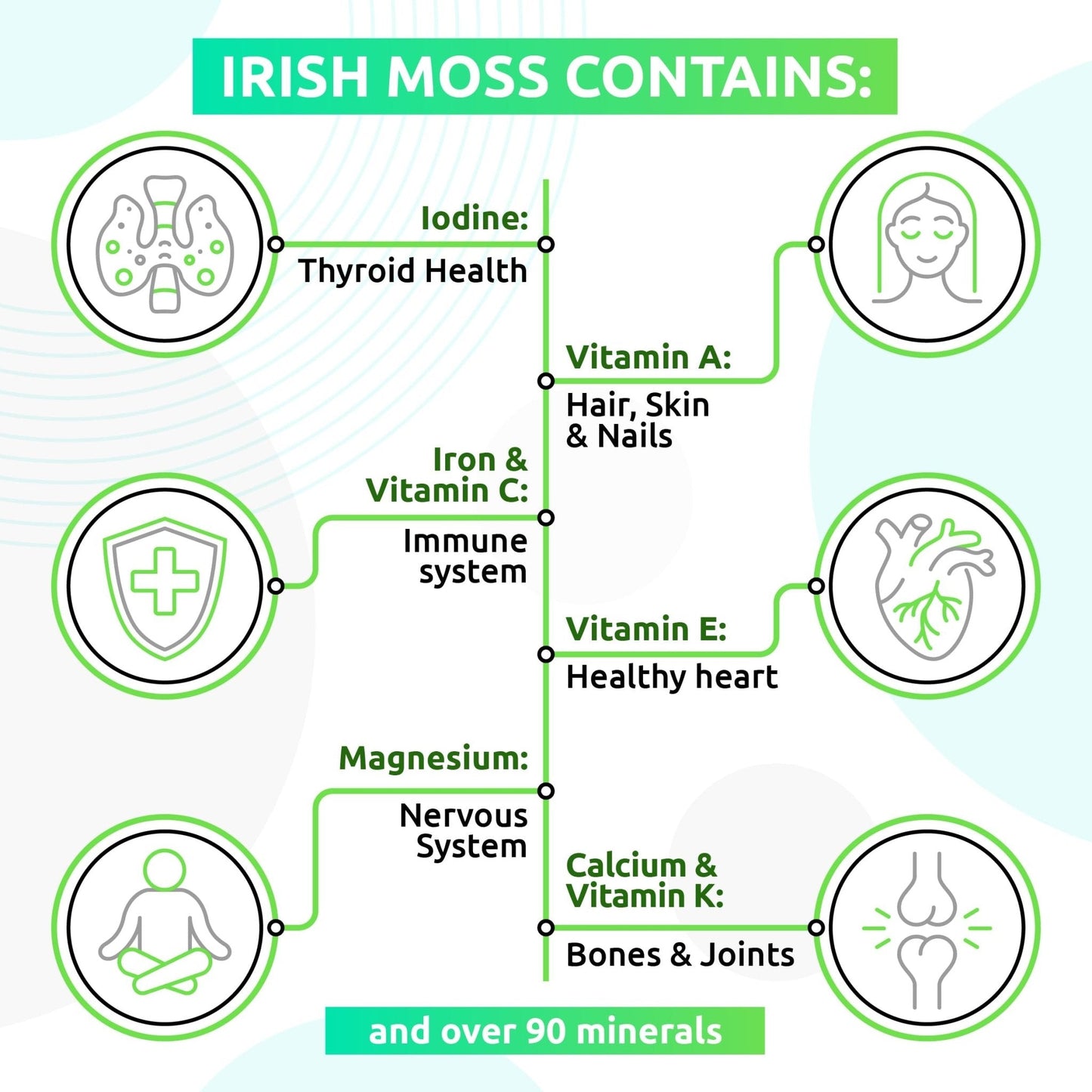 Irish Sea Moss Gel - Maple Wellness Supplements