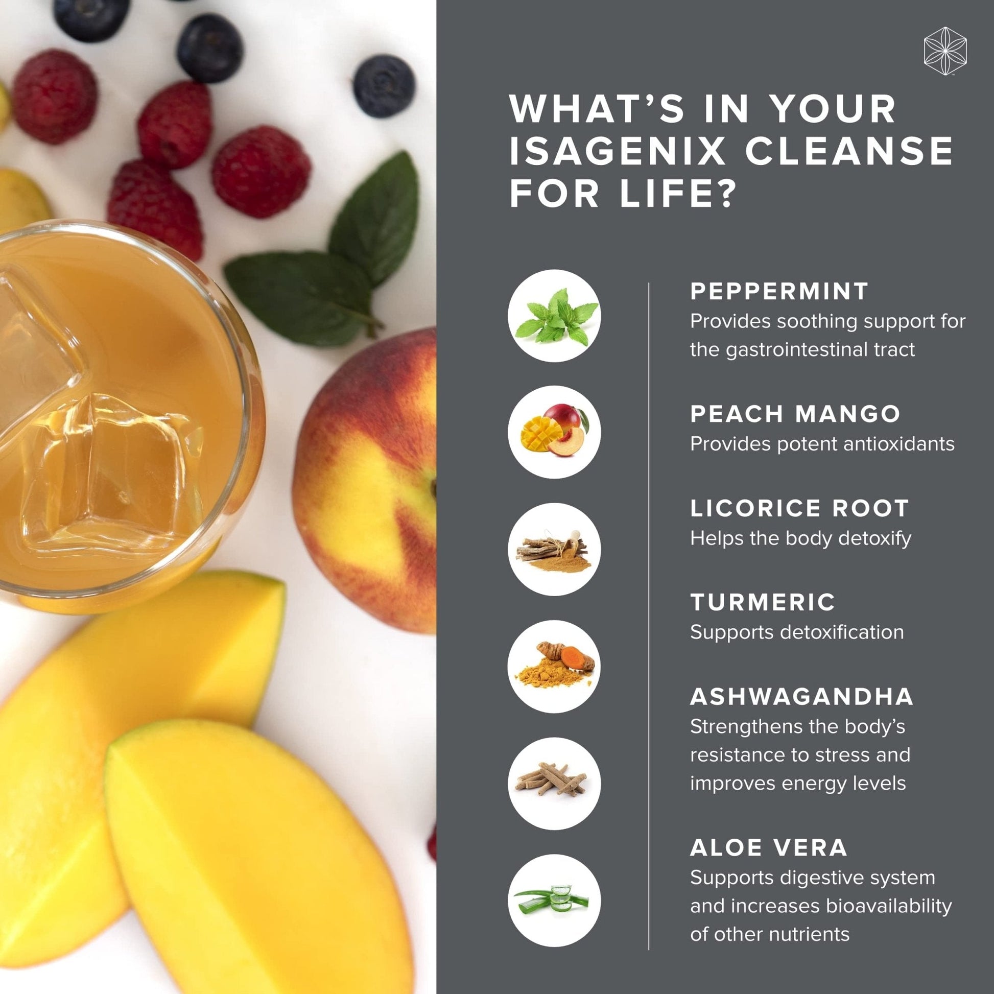 Isagenix Cleanse for Life - Detox System Support with Vitamins & Minerals - Maple Wellness Supplements