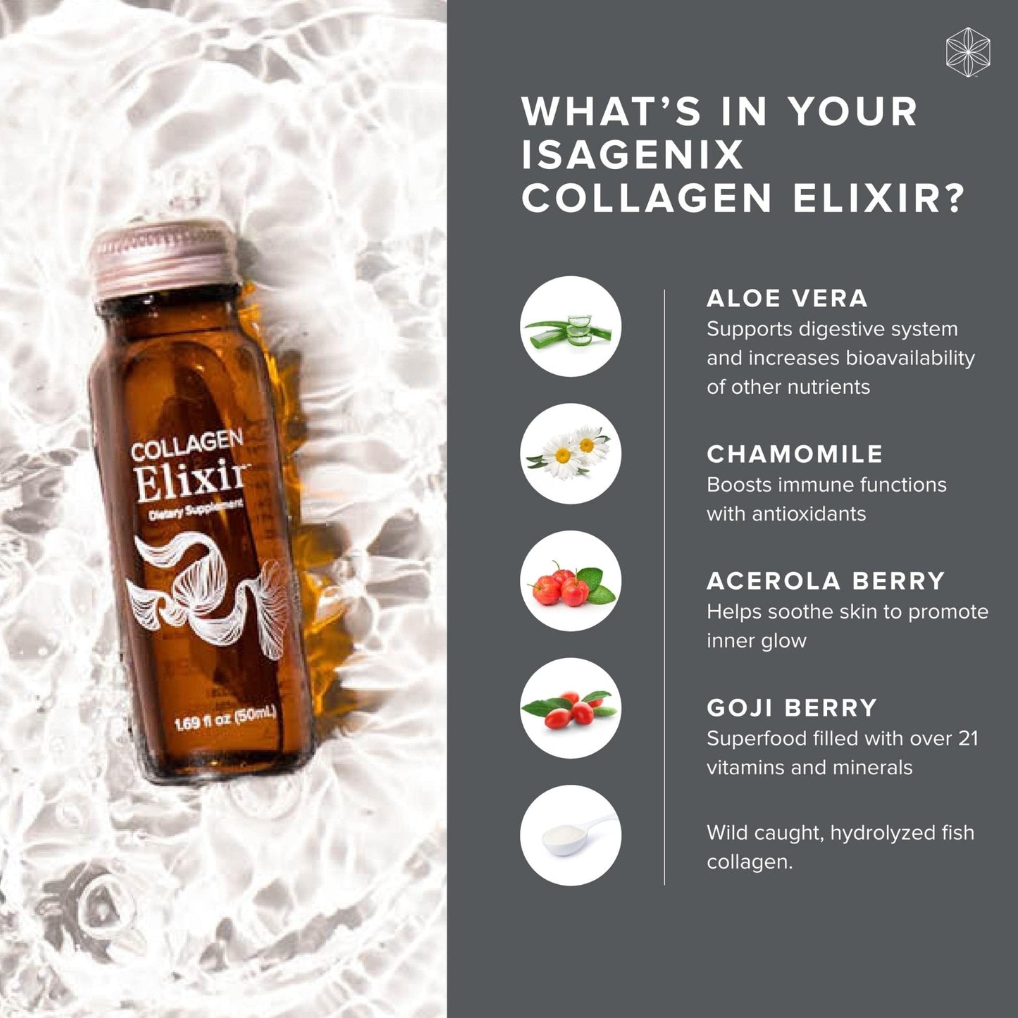 Isagenix Collagen Elixir - Drink with Marine Collagen Peptides - Support a Youthful Appearance with Vitamin C, Zinc & Biotin - 10 Bottles (1 Box) - Maple Wellness Supplements