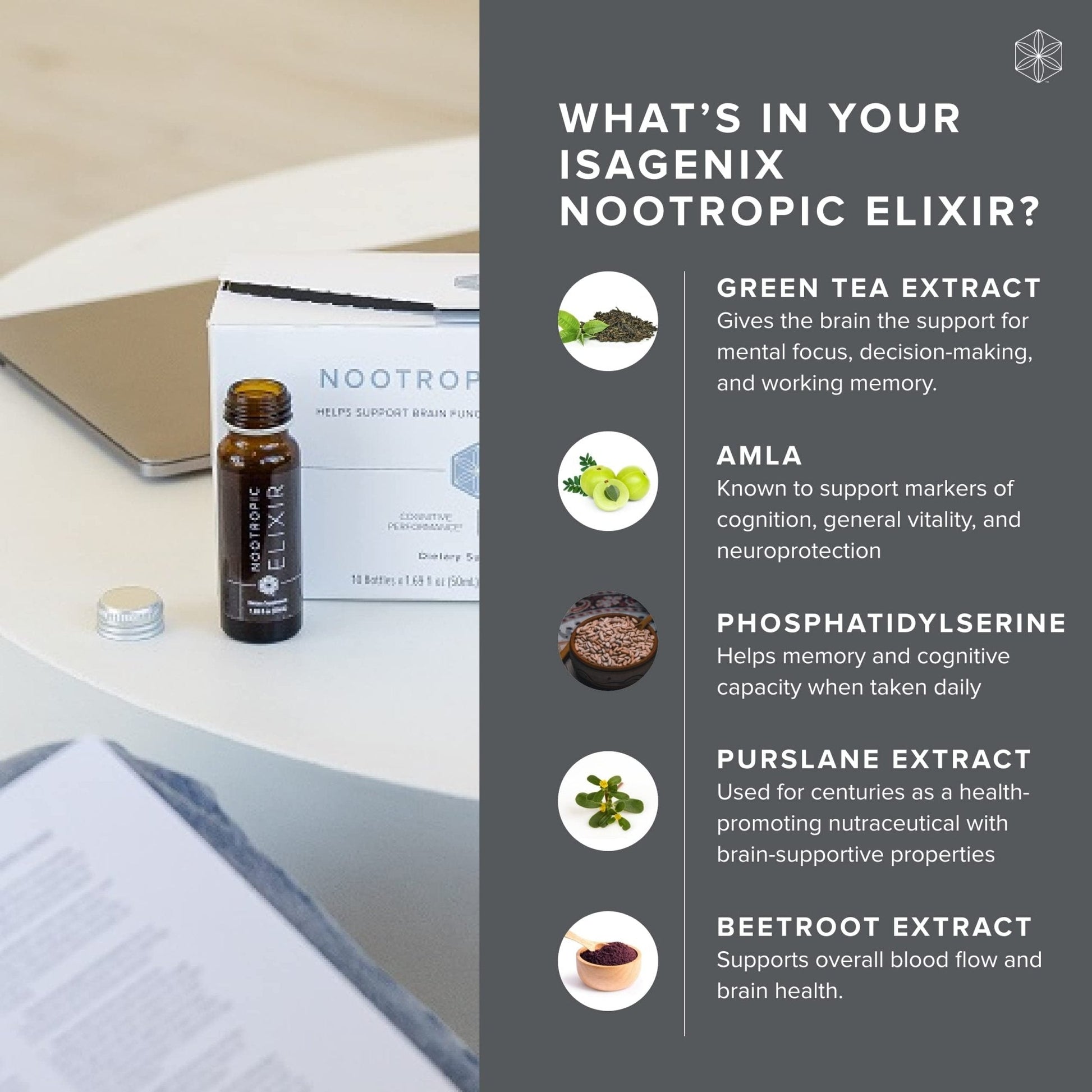 Isagenix Nootropic Elixir- Brain Health & Focus Supplement - Liquid Supplement with Green Tea Extract to Support a Healthy Mindset - 1.69 Oz Bottles (10 Count) - Maple Wellness Supplements