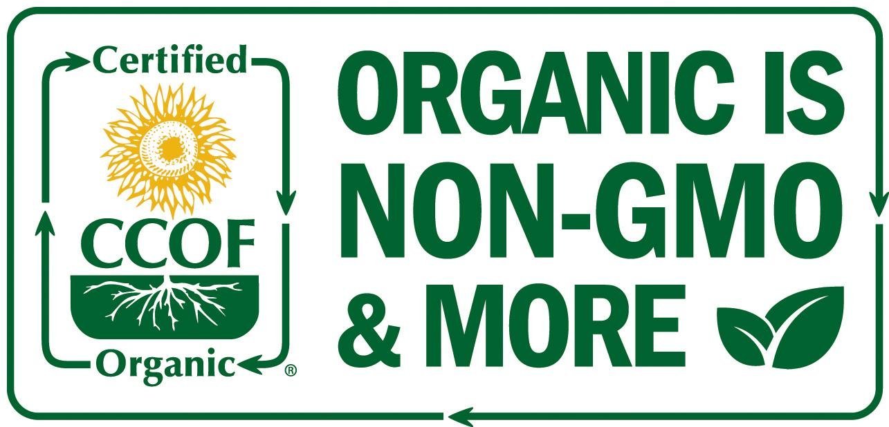 Island Nutrition, Oregano Oil Organic Liquid Drops - 100% Pure & Undiluted - USDA-Certified Organic (1 oz) 75% Carvacrol - Maple Wellness Supplements