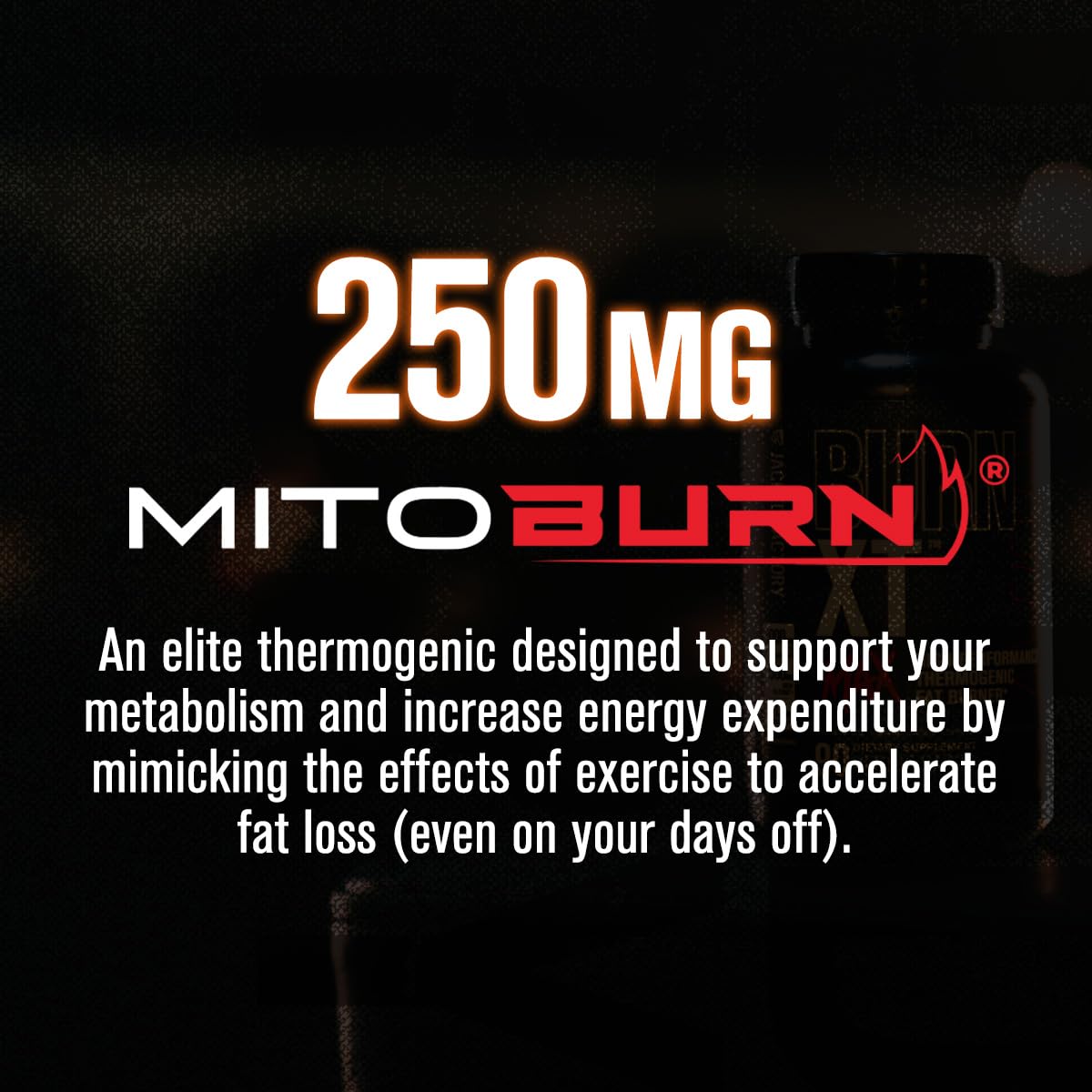 Jacked Factory Burn-XT Max - High-Performance Thermogenic Fat Burner & Appetite Suppressant for Weight Loss w/PurCaf Organic Caffeine, MitoBurn, Green Tea - Maple Wellness Supplements