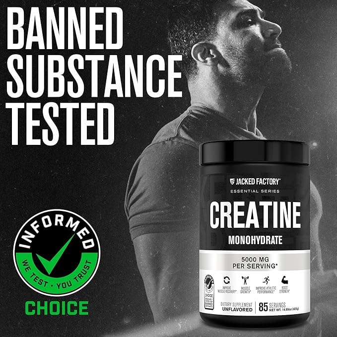 Jacked Factory Creatine Monohydrate Powder 425g - 5g Daily Creatine Supplement for Men and Women, Vegan-Friendly - Maple Wellness Supplements