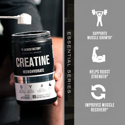 Jacked Factory Creatine Monohydrate Powder 425g - Creatine Supplement for Muscle - Maple Wellness Supplements