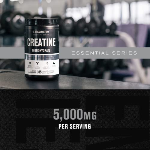 Jacked Factory Creatine Monohydrate Powder 425g - Creatine Supplement for Muscle - Maple Wellness Supplements