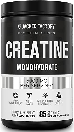 Jacked Factory Creatine Monohydrate Powder 425g - Creatine Supplement for Muscle - Maple Wellness Supplements